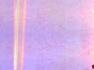 CamileJohnston Porn Show