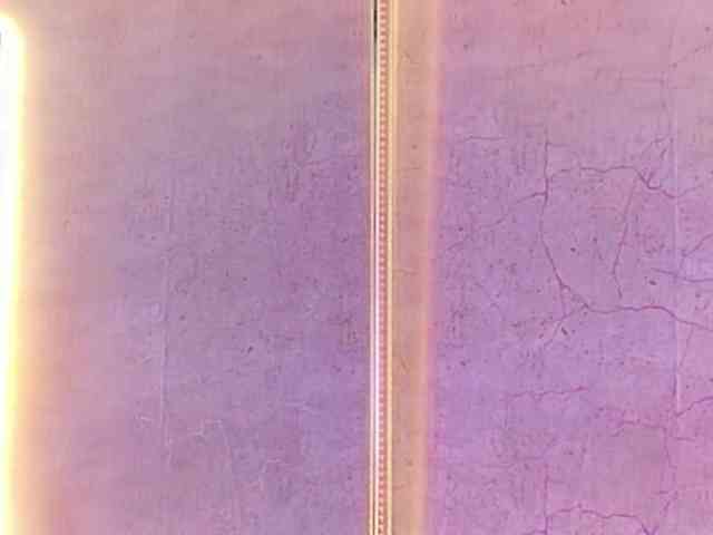 CamileJohnston webcam