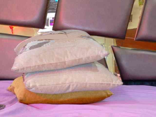 CamileJohnston CamileJohnston