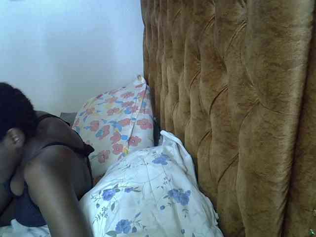 L-isa webcam