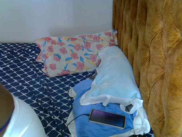 L-isa webcam