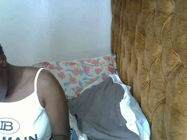 L-isa webcam
