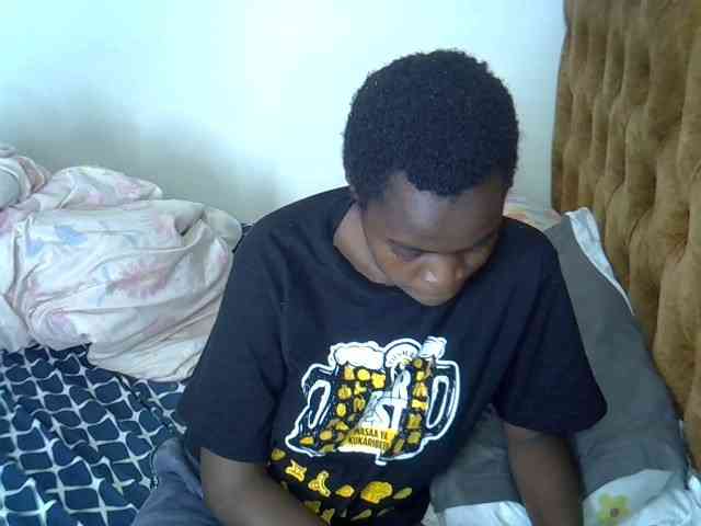 L-isa webcam
