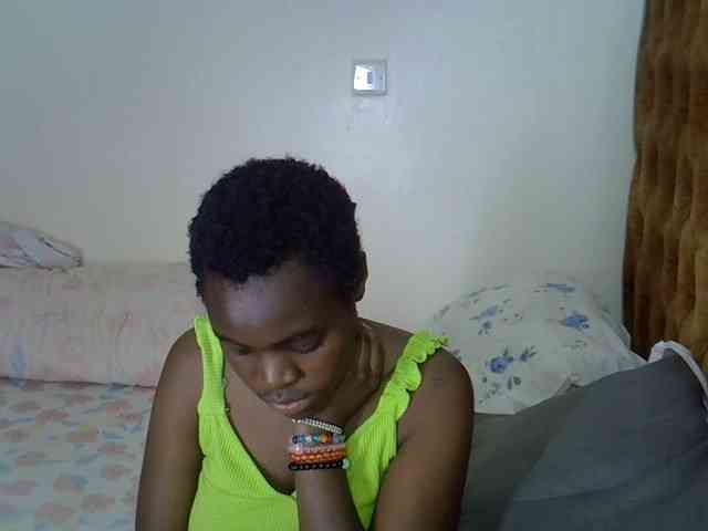 L-isa webcam