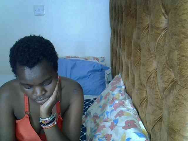 L-isa webcam