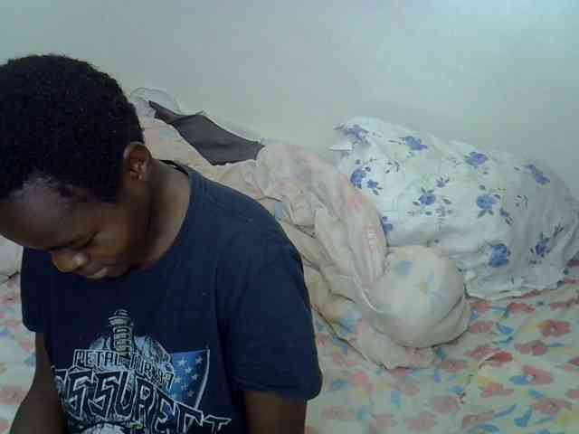 L-isa webcam