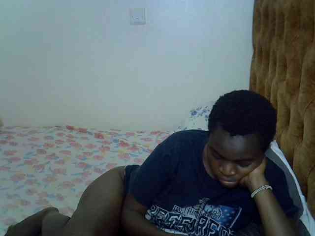 L-isa webcam