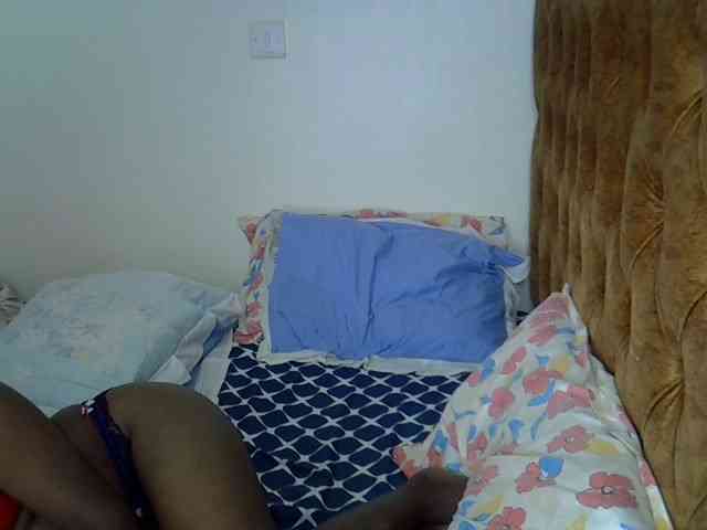 L-isa webcam