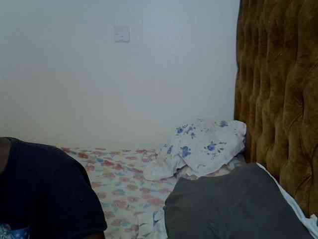L-isa webcam
