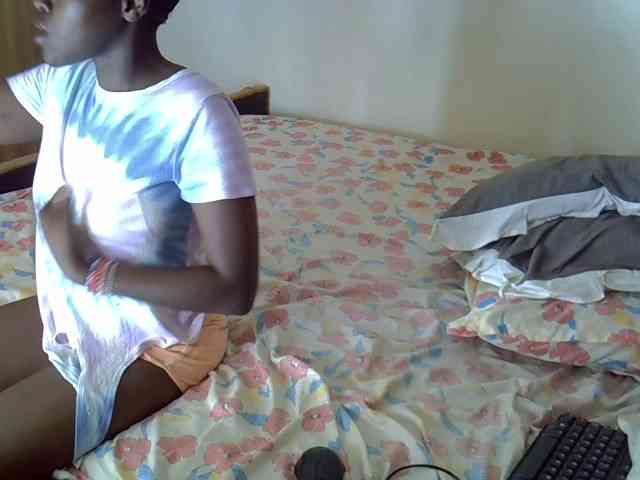 L-isa webcam