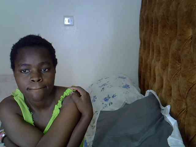 L-isa webcam