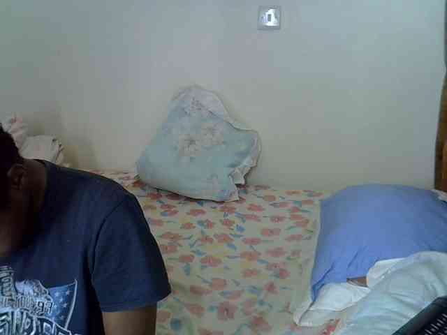 L-isa webcam