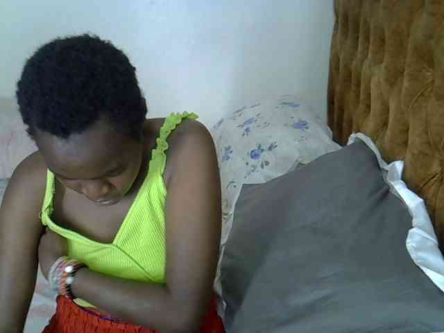L-isa webcam