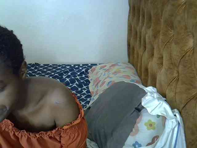 L-isa webcam