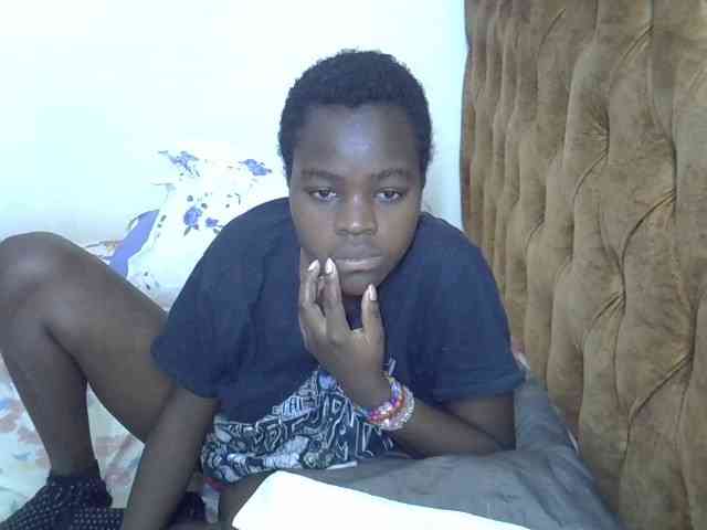 L-isa webcam