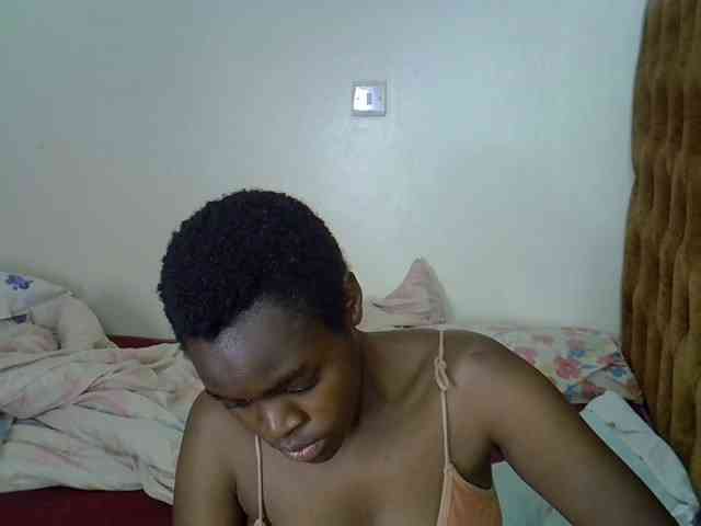 L-isa webcam