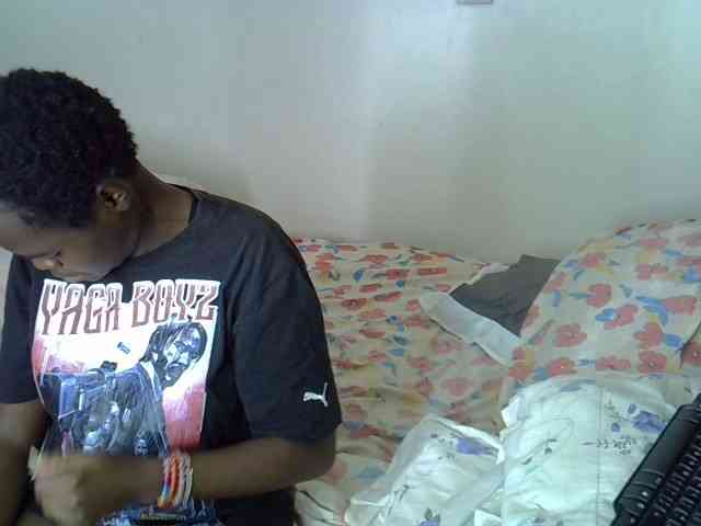 L-isa webcam