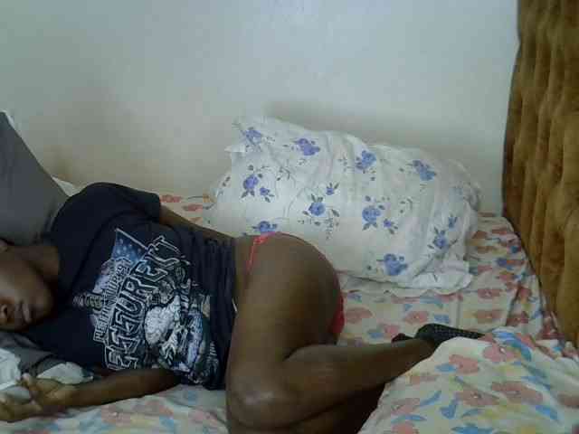 L-isa webcam