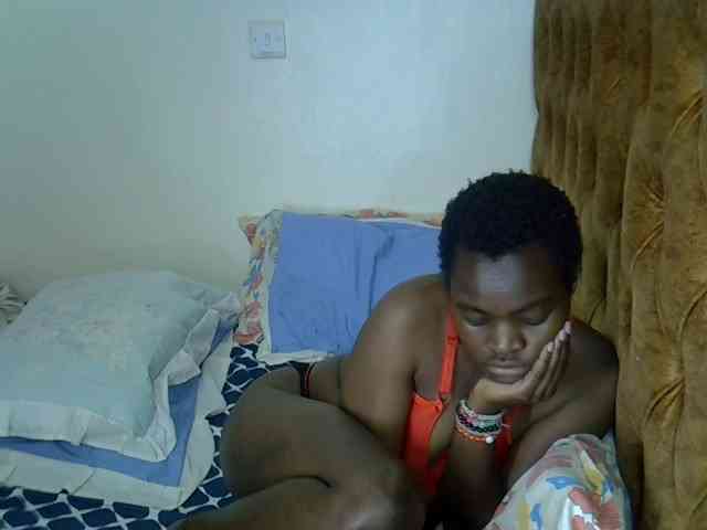 L-isa webcam