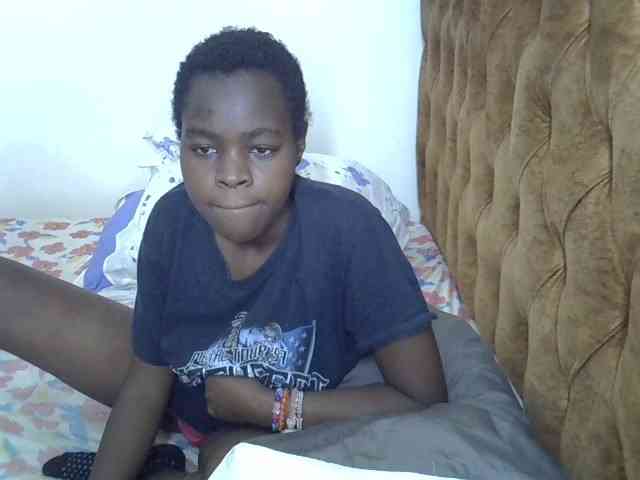 L-isa webcam