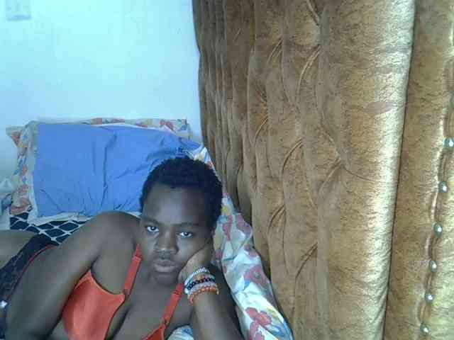 L-isa webcam