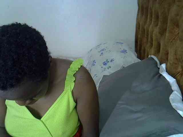 L-isa webcam