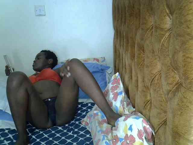 L-isa webcam