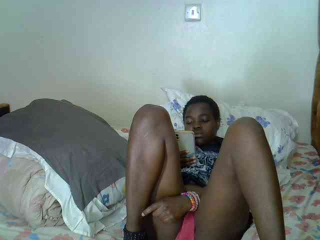 L-isa webcam