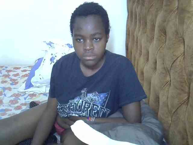 L-isa webcam