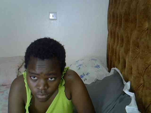 L-isa webcam