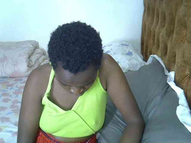 L-isa webcam