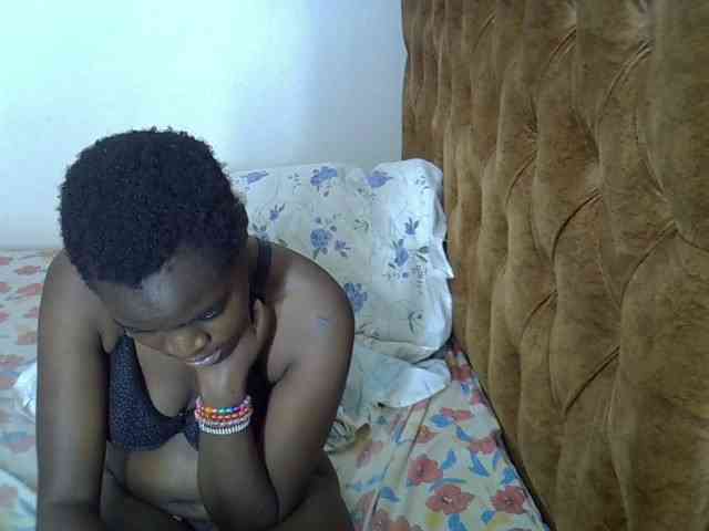 L-isa webcam