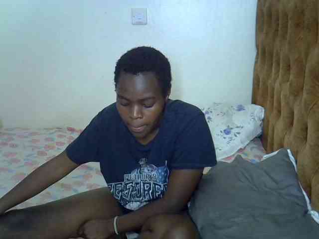 L-isa webcam