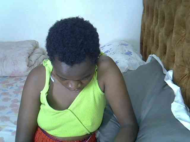 L-isa webcam