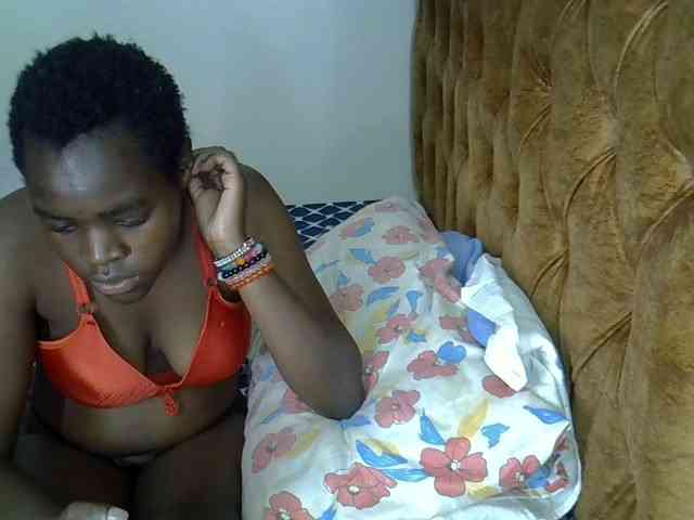 L-isa webcam