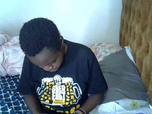 L-isa webcam