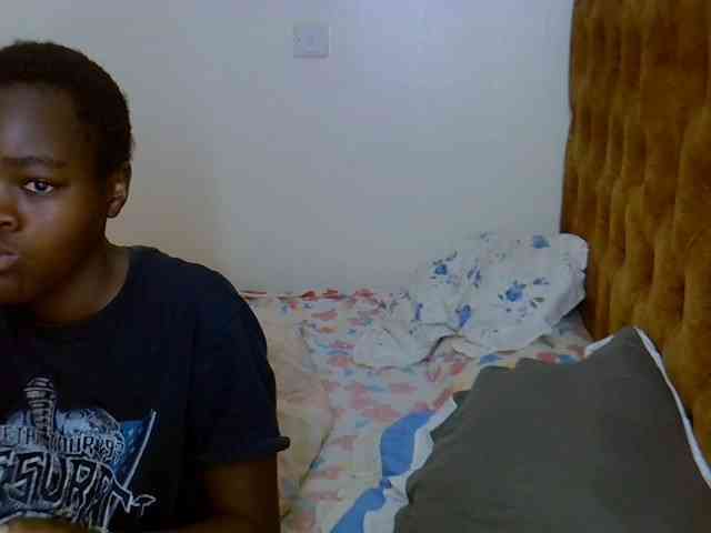 L-isa webcam