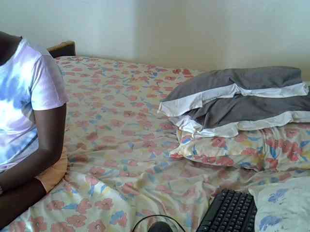 L-isa webcam