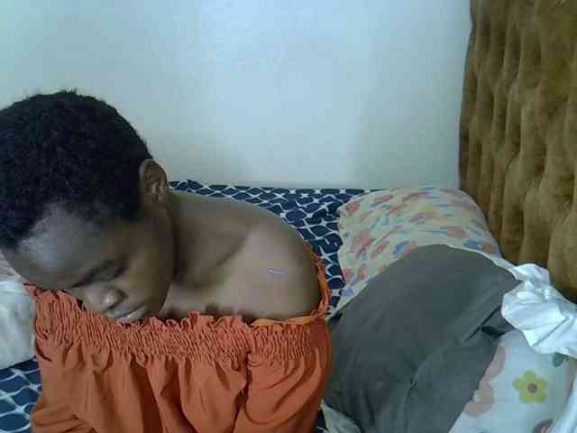 L-isa webcam