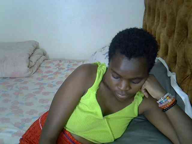 L-isa webcam