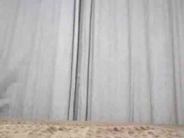 EuraGrune webcam