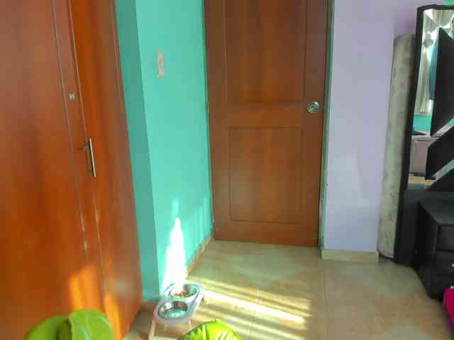 Rouse1 webcam