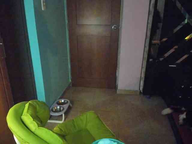 Rouse1 webcam