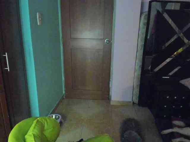 Rouse1 webcam
