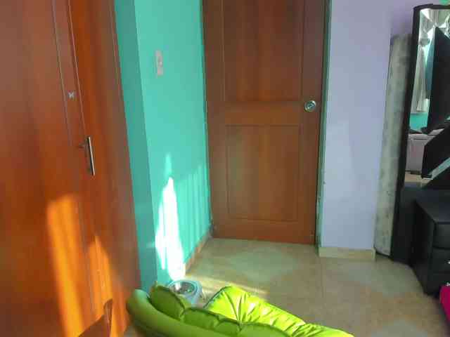 Rouse1 webcam