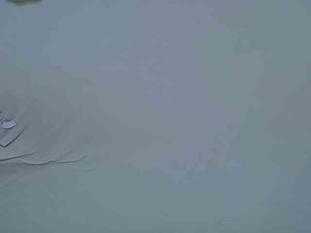 hot-lissa webcam