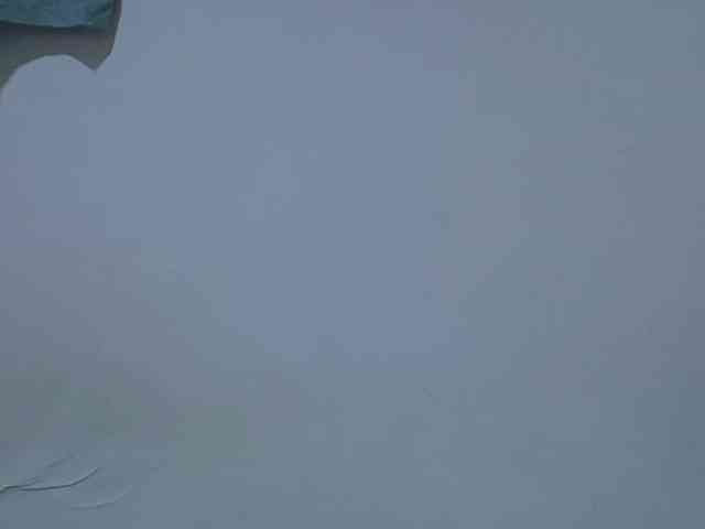 hot-lissa webcam