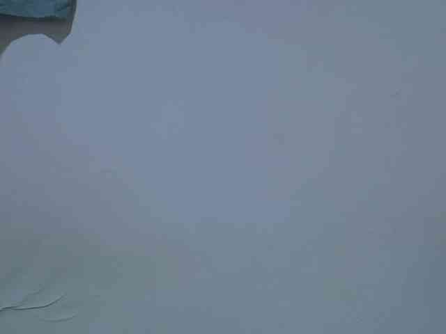 hot-lissa webcam