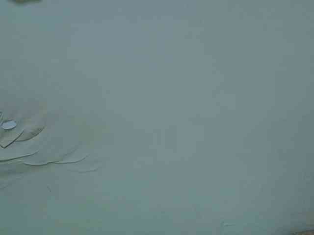 hot-lissa webcam