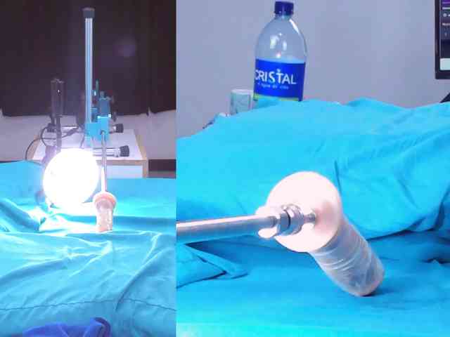 Katee-campbell webcam